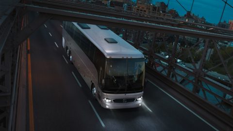 Executive Coach