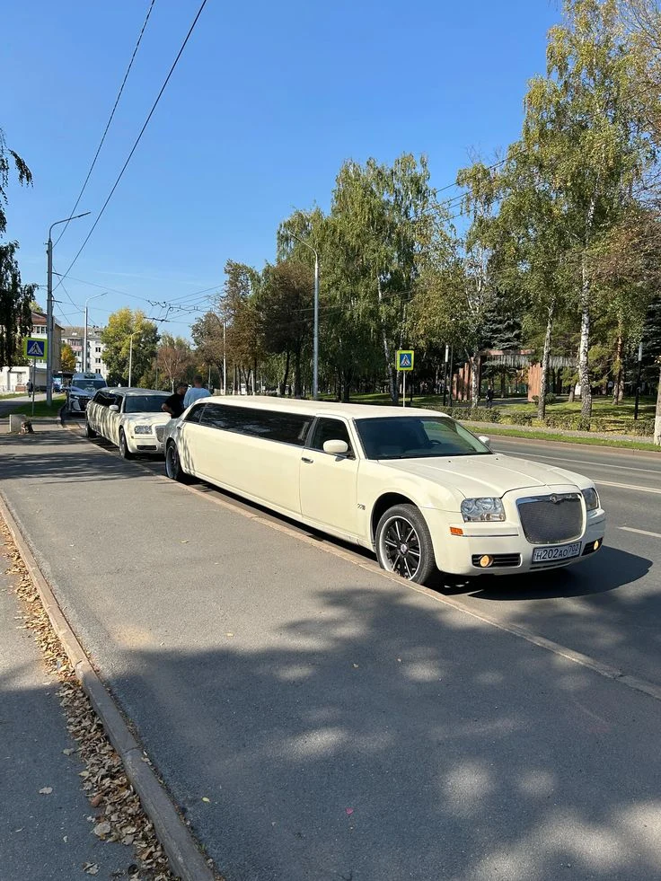White limousine chauffeur cars parked on a London tree-lined road