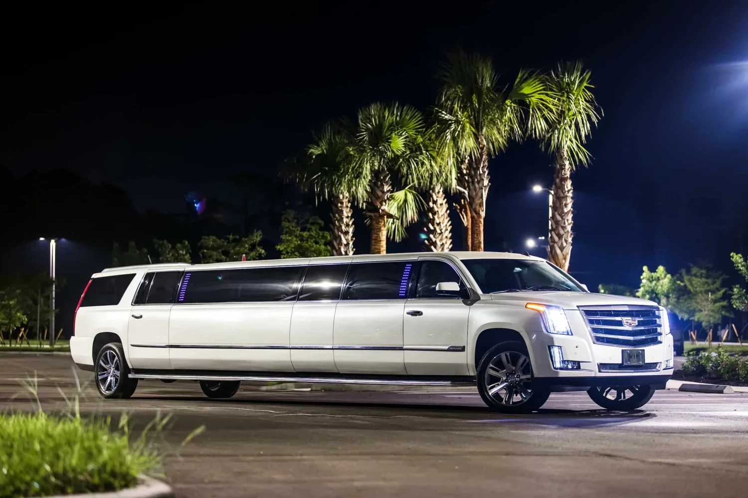 VIP Limo Services